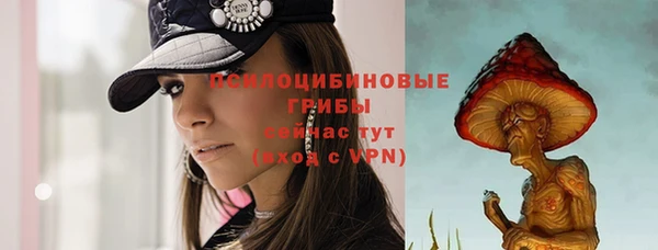 мдма Богданович