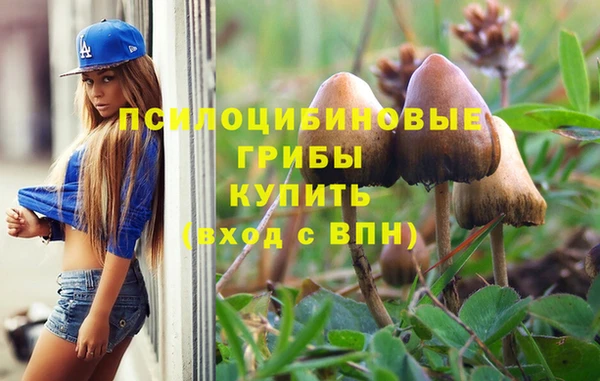 таблы Богородск