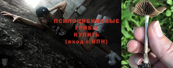 трава Осташков